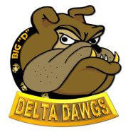 Delta Company Emblem